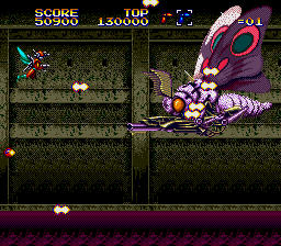 I hate moths SO MUCH WHY IS ONE HERE ARRRGGGGHHH